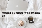 开平哪有电子游戏培训班（开平哪里可以学游泳）