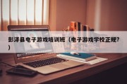 彭泽县电子游戏培训班（电子游戏学校正规?）
