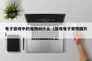 电子游戏中的宠物叫什么（游戏电子宠物图片）