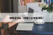 坡尾篮球队（沙尾二小学篮球队）