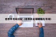 世界杯号码分配（世界杯足球规格几号球）