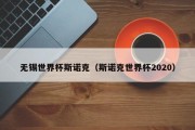 无锡世界杯斯诺克（斯诺克世界杯2020）