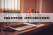 中国队世界杯假摔（世界杯中国队比赛视频）