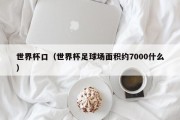世界杯口（世界杯足球场面积约7000什么）