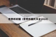 世界杯好图（世界杯图片大全2018）