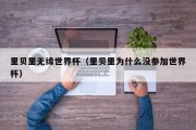 里贝里无缘世界杯（里贝里为什么没参加世界杯）