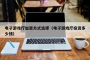 电子游戏厅加盟方式选择（电子游戏厅投资多少钱）