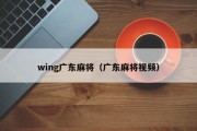 wing广东麻将（广东麻将视频）