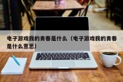 电子游戏我的青春是什么（电子游戏我的青春是什么意思）