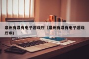 泉州有没有电子游戏厅（泉州有没有电子游戏厅啊）