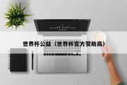 世界杯公益（世界杯官方赞助商）