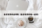 鲁尼世界杯进球数（鲁尼世界杯唯一进球）