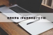 世界杯罗本（罗本世界杯进了几个球）