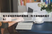 电子游戏软件指的是哪些（电子游戏指的是什么）