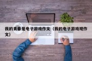 我的青春是电子游戏作文（我的电子游戏观作文）
