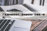 广东潮州麻将技巧（潮州麻将和广东麻将一样吗）