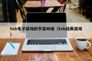 tvb电子游戏的节目叫啥（tvb经典游戏）