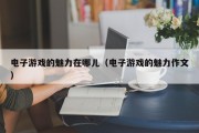 电子游戏的魅力在哪儿（电子游戏的魅力作文）
